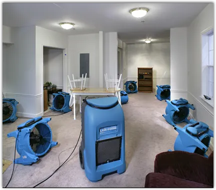 Water Mitigation Services in Fullerton, CA