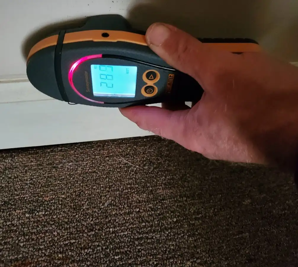 Moisture detection at baseboard during Sewage Cleanup & Sanitation in Fullerton